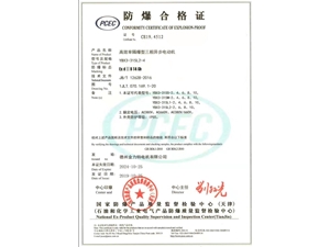 高效率隔爆型三項(xiàng)異步電動(dòng)機(jī)